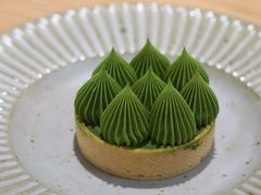 -猫里有甜