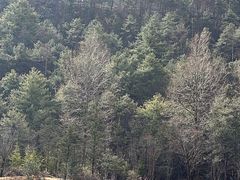 -玉龙雪山蓝月谷