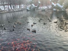 -水磨沟公园