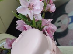 -南汇桃花村