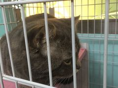 -ELEVEN桌游剧本杀轰趴馆(三里屯店)
