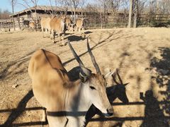 -济南野生动物世界