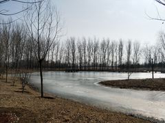 -东郊湿地公园