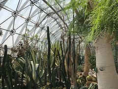 -北京植物园-展览温室