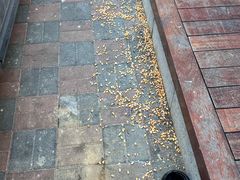 -胖子菜馆(隆昌路店)