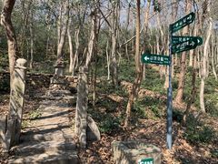 -紫金山山顶公园