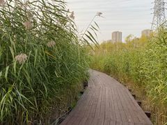 -永定河休闲森林公园