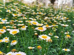 -南通洲际绿博园