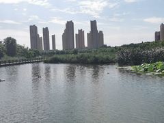 -前关湿地公园