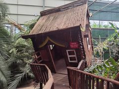 -呀路古热带植物园