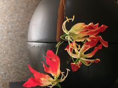 -小核桃烤肉馆(西塔店)