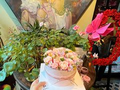 -5Cake五度无蔗糖低脂蛋糕(陶然亭店)