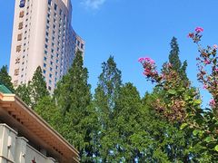 -南京维景国际大酒店(南京博物院店)