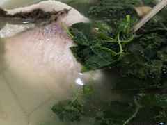 鲫鱼簕菜汤-东兴黄鳝饭店(江洲店)