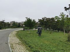 -浮山香苑