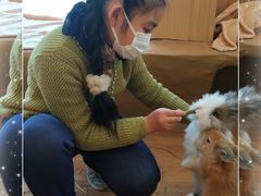 -猫猫幼稚园·撸猫·桌游·电玩