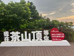 -东莞市大岭山森林公园