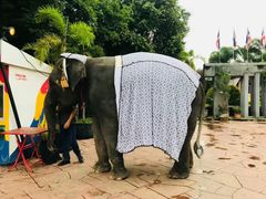 -清迈夜间动物园