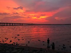 -宝安西湾红树林湿地公园