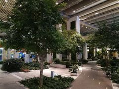 -仁恒美食庭苑(仁恒海河广场店)