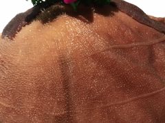 -犇鼎牛潮汕牛肉火锅(新辰里学清路店)