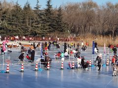 -大兴滨河森林公园