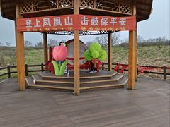 -凤凰山国家森林公园