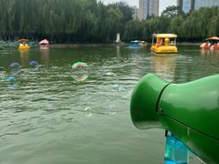 -团结湖公园