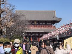 -浅草寺