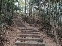 -上海佘山国家森林公园天马山园