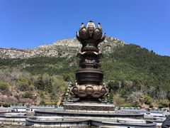 -白佛山景区
