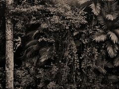 -府河摄影公园