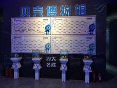 -贝壳梦幻世界