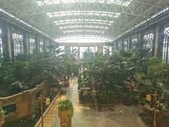 -郑州银基黄帝宫御温泉