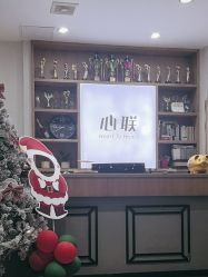 -心联形象设计·流星染