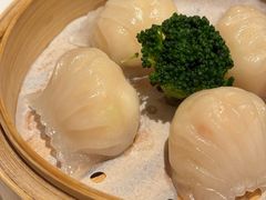 -悦景酒家(罗湖店)