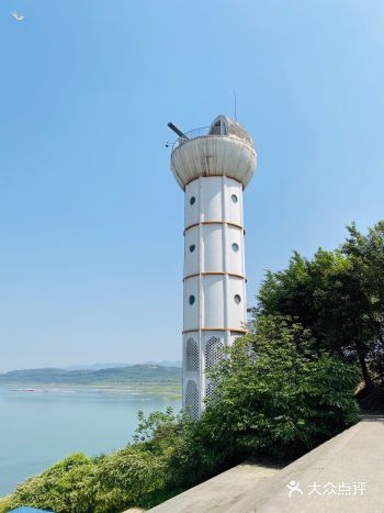 重庆周边游｜茶园的宝藏小众景点