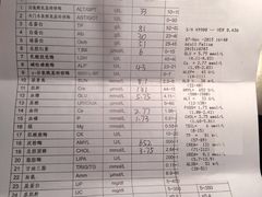 -瑞派·关忠动物医院(国瑞店)