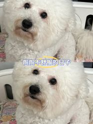 -U3美甲