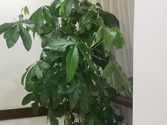 -皇城老妈·大连海鲜火锅(港湾店)