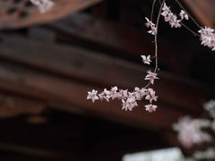 -三里河公园