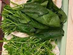 豌豆苗-八先生涮肉房(三里河店)