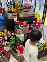 -乐高授权专卖店(济南万象城店)