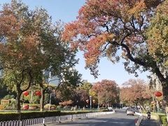 -南京市规划建设展览馆