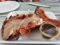 -悉尼鱼市场