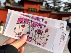 -洛阳白马寺