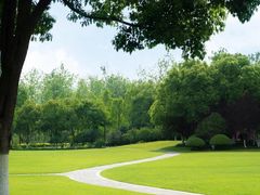 -合肥滨湖国家森林公园