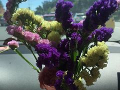 -澳门十六浦索菲特大酒店