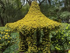 -杭州植物园