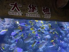 -杭州海底世界
